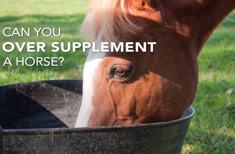 Can you over supplement a horse? A look at how much is too much